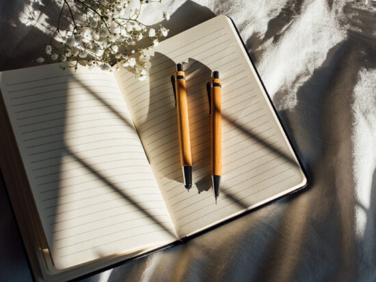 Alternative view of Pennenset van bamboe